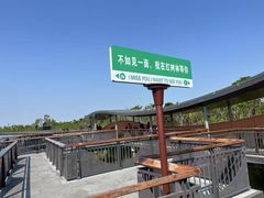 -东寨港红树林旅游区