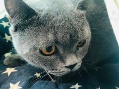 -iF摄影•全家福•证件照•形象照(南山店)