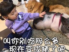 -奥斯特牛排馆(圣母百花大教堂)