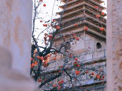 -北京石刻艺术博物馆(五塔寺)