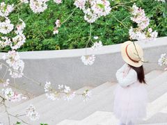 -杭州少年儿童公园