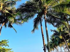 -石梅湾艾美度假酒店