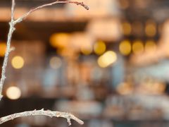 -云厨·高空西餐厅(成都瑯珀·凯悦臻选酒店)