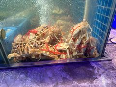 -曼格活海鲜·牛排自助(光明蓝鲸店)