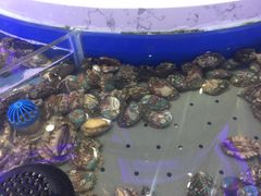-澜悦港海鲜体验主题餐厅