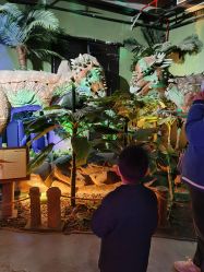 -恐龙探索乐园(磁器口店)