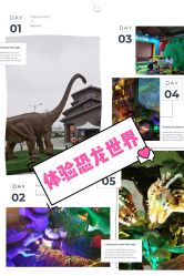 点击看大图 -恐龙探索乐园(磁器口店)