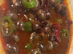 -聚味罗记大排檔·烧烤·鲜鱼杂·甲鱼煲(科学馆店)