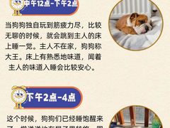 -爱侣宠医·鹦鹉专科·小型哺乳类·异宠专科(灵石路店)