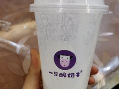 -一只酸奶牛(丹尼斯大卫城店)