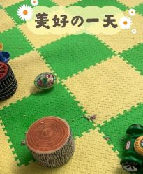 -爱丽丝奇幻乐园