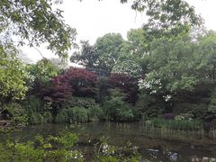 -杭州半山国家森林公园