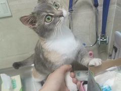 -仁华宠物医院(青羊店)