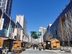 -巴依老爷新疆美食(望京小街店)