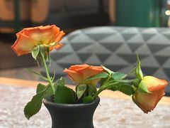 -芭莉与彩虹西餐厅(成都合生汇店)