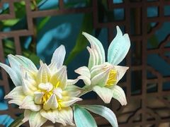 -中国丝业博物馆