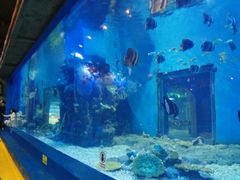 -石林冰雪海洋世界