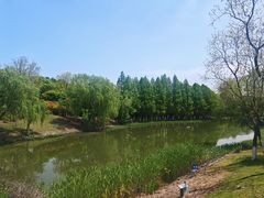 -江滩湿地公园