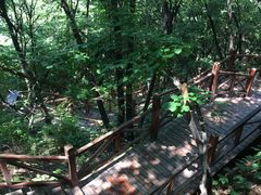 -大岭沟猕猴桃谷风景区