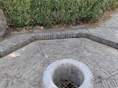 -上海佘山国家森林公园天马山园