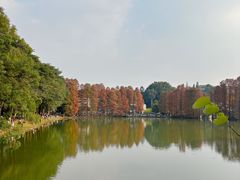 -华南国家植物园-售票处