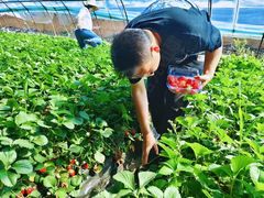 -拾光团建·拓展活动·旅游会议(东直门店)