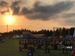 -春花秋色城市公园