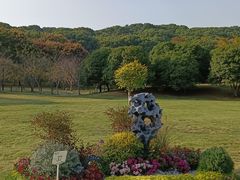 -苏州上方山国家森林公园