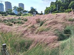 -红花山公园