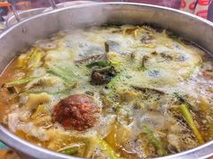 -广宁炭炉鸡煲·富临门饭店