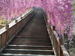-石家庄市植物园