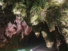 -怀托摩萤火虫洞