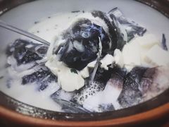 千岛湖有机鱼头-全乐鱼馆·淳牌有机鱼直营店