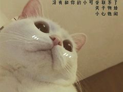 -蜀留香石锅鱼(六顺街店)