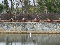 -呈贡滇池生态湿地公园