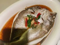 椒麻鲈鱼-绿茶餐厅(崇文门新世界店)