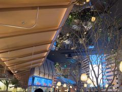 -桂满陇·海市蜃楼·黑金(国金店)