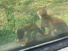 -石家庄市动物园