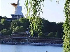 -后海公园