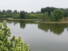 -东郊湿地公园