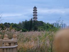 -江心屿景区