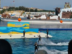 -秦皇岛乐岛海洋王国