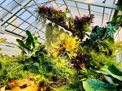 -国家植物园南园