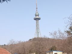 -青岛电视塔