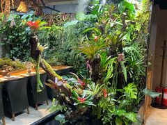 -森味薪火烧•烧鸟居酒屋•日本料理(望京店)