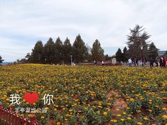 -羊亭河湿地公园