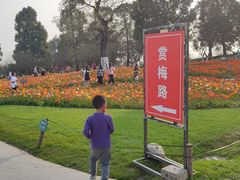 -秀丽东方