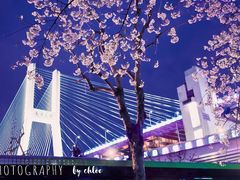 -上海南浦大桥长途旅游客运站