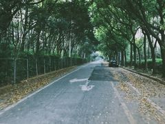 -七宝中学游泳馆