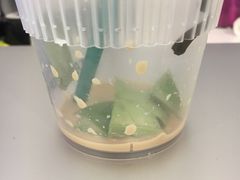 -UPUPKAFE  立咖啡(浏城桥店)